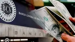 Dólar y Euro BCV para el 21 de octubre: así se cotizarán las divisas oficiales