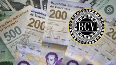 Precio del dólar y euro BCV para hoy 23 de octubre: así se cotizan las divisas oficiales Precio del dólar y euro BCV para hoy 23 de octubre: así se cotizan las divisas oficiales