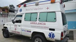 Tragedia en Mérida: hombre muere aplastado por el árbol que talaba