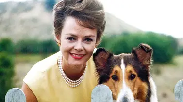 ¡Luto en Hollywood! Fallece a los 100 años la actriz de Lassie, June Lockhart ¡Luto en Hollywood! Fallece a los 100 años la actriz de Lassie, June Lockhart