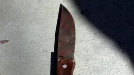 La mató por terminar su relación: detalles sobre la captura del asesino de Carmen Guadalupe Clara