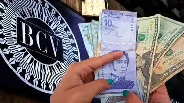 Dólar y Euro BCV para el 29 de octubre: así se cotizarán las divisas oficiales Dólar y Euro BCV para el 29 de octubre: así se cotizarán las divisas oficiales