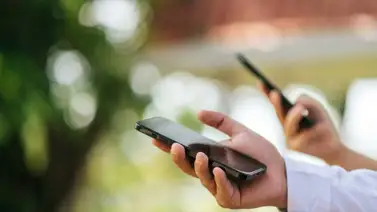 Reconocida tienda de electrónica ahora ofrece seguro para celulares: cobertura inmediata Reconocida tienda de electrónica ahora ofrece seguro para celulares: cobertura inmediata