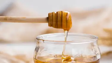 Conoce cuáles son los beneficios de la miel para el cabello: los mejores peluqueros revelan cómo debes aplicarla con eficiencia Conoce cuáles son los beneficios de la miel para el cabello: los mejores peluqueros revelan cómo debes aplicarla con eficiencia