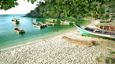 Reportan a seis pescadores desaparecidos: autoridades activan operativo en alta mar Reportan a seis pescadores desaparecidos: autoridades activan operativo en alta mar