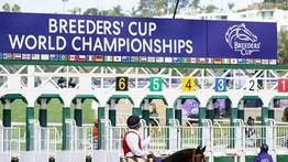 Breeders’ Cup 2025 aquí encontrarás el programa completo