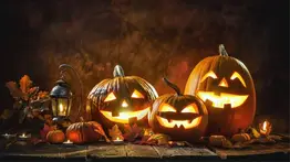 La ciudad insta a los visitantes a utilizar el transporte público, para prevenir el tráfico y la falta de sitios para estacionar