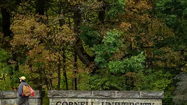 Caso de abuso grupal contra estudiante en universidad de Nueva York: víctima asegura que fue drogada con ketamina Caso de abuso grupal contra estudiante en universidad de Nueva York: víctima asegura que fue drogada con ketamina