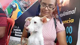 Atención veterinaria gratis en Caracas: Misión Nevado anuncia jornada especial este domingo 4 de octubre
