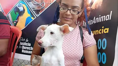 Atención veterinaria gratis en Caracas: Misión Nevado anuncia jornada especial este domingo 4 de octubre Atención veterinaria gratis en Caracas: Misión Nevado anuncia jornada especial este domingo 4 de octubre