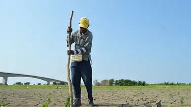 CAF dispondrá de 1.000 millones de dólares para hacer frente al fenómeno de El Niño CAF dispondrá de 1.000 millones de dólares para hacer frente al fenómeno de El Niño