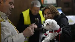 Misas con mascotas este 4 de octubre: templos de Caracas, Carabobo y Monagas anuncian bendición especial por San Francisco de Asís