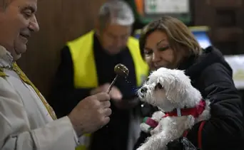 Misas con mascotas este 4 de octubre: templos de Caracas, Carabobo y Monagas anuncian bendición especial por San Francisco de Asís