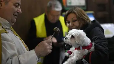 Misas con mascotas este 4 de octubre: templos de Caracas, Carabobo y Monagas anuncian bendición especial por San Francisco de Asís Misas con mascotas este 4 de octubre: templos de Caracas, Carabobo y Monagas anuncian bendición especial por San Francisco de Asís