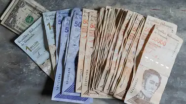 Informan sobre pago especial para el sector educativo este 3 de octubre: nuevos beneficiados por Patria Informan sobre pago especial para el sector educativo este 3 de octubre: nuevos beneficiados por Patria
