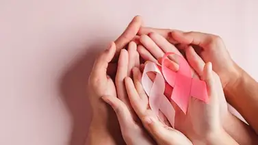 Jornada especial de actividades por el Mes Rosa en Caracas: ubicación de los talleres gratuitos Jornada especial de actividades por el Mes Rosa en Caracas: ubicación de los talleres gratuitos