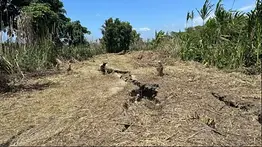 Creador de contenido llegó hasta el epicentro de uno de los terremotos en Venezuela: VIDEO REVELADOR