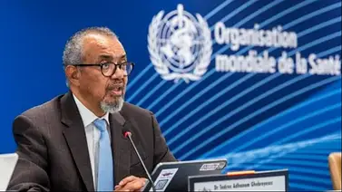 OMS solicita datos adicionales a Rusia para evaluar el riesgo por el caso de peste neumónicaq OMS solicita datos adicionales a Rusia para evaluar el riesgo por el caso de peste neumónicaq