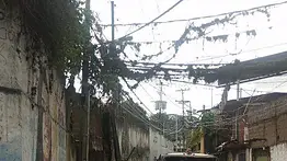 Fuertes lluvias causan estragos en Miranda: un herido tras colapso de pared sobre unidad de transporte