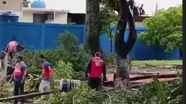 En video: Vientos huracanados y fuertes lluvias causan destrozos en Valencia En video: Vientos huracanados y fuertes lluvias causan destrozos en Valencia
