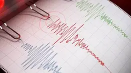 Sismos registrados en las últimas horas: reporte de Funvisis este viernes