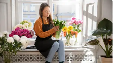 Flores duraderas en el hogar: consejos sencillos para conservar su belleza por más tiempo Flores duraderas en el hogar: consejos sencillos para conservar su belleza por más tiempo