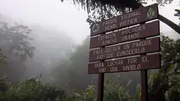 Rescatan con vida a dos jóvenes perdidos en el Parque Nacional Henri Pittier: esto se sabe