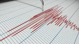 Funvisis registra sismos de 3.0 y 3.1 durante las últimas horas: reporte este 13 de octubre
