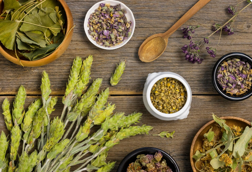 Hierbas aromáticas que frenan el avance de chinches en la cama: protección natural para el descanso