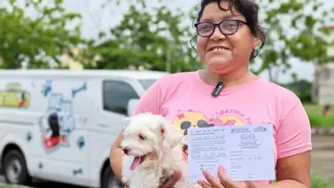 Misión Nevado anuncia jornada de consultas veterinarias oncológicas este 19 de octubre: detalles Misión Nevado anuncia jornada de consultas veterinarias oncológicas este 19 de octubre: detalles