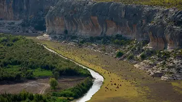 Conflicto por expropiaciones en Texas: ganaderos y residentes rechazan "el muro" Conflicto por expropiaciones en Texas: ganaderos y residentes rechazan "el muro"