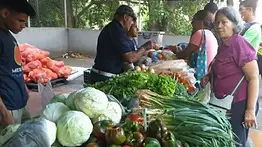 Venta de alimentos a precios solidarios en Caracas este 17 de octubre: horario y productos