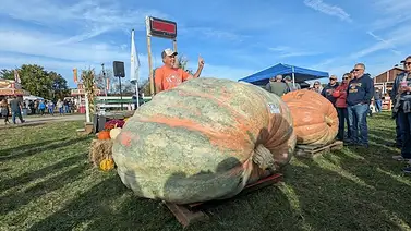 Récord agrícola mundial: Una calabaza de 1.431 kilos establece nueva marca histórica en EEUU Récord agrícola mundial: Una calabaza de 1.431 kilos establece nueva marca histórica en EEUU