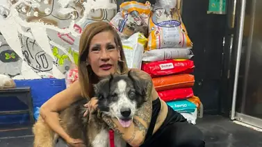 Activistas exigen justicia tras la polémica muerte de la mascota "Sami" Activistas exigen justicia tras la polémica muerte de la mascota "Sami"