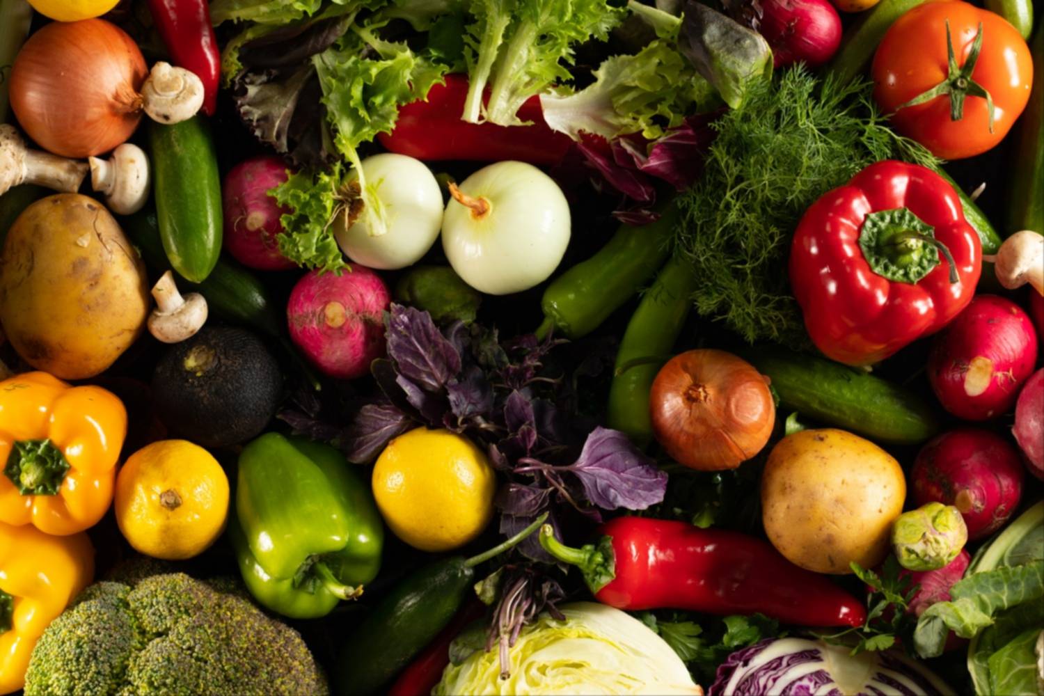 Menú protector: Estos son los alimentos que apagan los procesos tumorales y previenen el cáncer Menú protector: Estos son los alimentos que apagan los procesos tumorales y previenen el cáncer