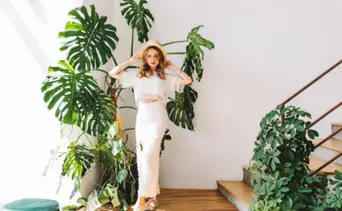 Plantas aromáticas y su relación con las plagas: adiós a los insectos en casa
