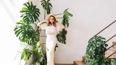 Plantas aromáticas y su relación con las plagas: adiós a los insectos en casa Plantas aromáticas y su relación con las plagas: adiós a los insectos en casa
