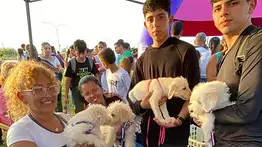 ¡Atención para mascotas! Anuncian jornada veterinaria con vacunas y esterilización: detalles aquí