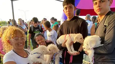 ¡Atención para mascotas! Anuncian jornada veterinaria con vacunas y esterilización: detalles aquí ¡Atención para mascotas! Anuncian jornada veterinaria con vacunas y esterilización: detalles aquí