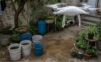  Investigadores emplean mapas digitales e IA para ubicar focos de infección de dengue en Florida