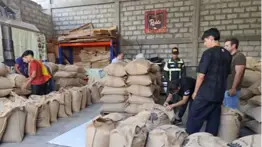Avanza plan de exportación de café venezolano a Australia: estiman crecimiento del 15% en la cosecha
