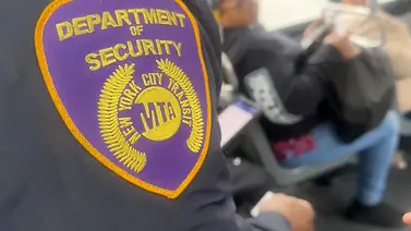 Autoridad de transporte de Nueva York paraliza el programa EAGLE por agresiones a usuarios Autoridad de transporte de Nueva York paraliza el programa EAGLE por agresiones a usuarios