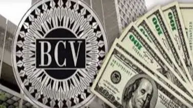 Cotización oficial del dólar y euro de este 26 de octubre: precio fijado por el BCV Cotización oficial del dólar y euro de este 26 de octubre: precio fijado por el BCV