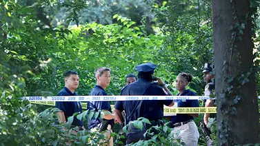 Alerta en Nueva York tras violenta agresión sexual: hombre sometió a la víctima con un cuchillo en Central Park Alerta en Nueva York tras violenta agresión sexual: hombre sometió a la víctima con un cuchillo en Central Park