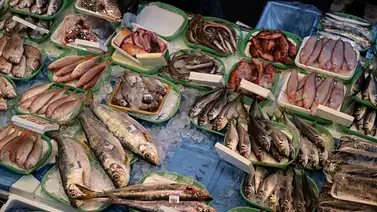 Promete destronar el pasticho de carne: Receta que incluye pescado y mariscos entre capas Promete destronar el pasticho de carne: Receta que incluye pescado y mariscos entre capas