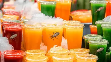 Beber jugos artesanales puede transmitir la enfermedad de Chagas: conozca los síntomas Beber jugos artesanales puede transmitir la enfermedad de Chagas: conozca los síntomas
