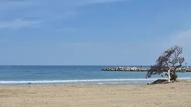 Reinicio turístico en el litoral: Oficializan uso de balnearios en La Guaira los días sábado y domingo Reinicio turístico en el litoral: Oficializan uso de balnearios en La Guaira los días sábado y domingo