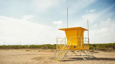 2001online - Estados Unidos - Florida playas 2001online - Estados Unidos - Florida playas