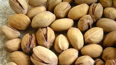 El pistacho y la salud mental: Descubre cuánto y cuándo comerlo El pistacho y la salud mental: Descubre cuánto y cuándo comerlo