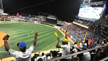 2001online - Caracas- Liga Venezolana de Béisbol Profesional  2001online - Caracas- Liga Venezolana de Béisbol Profesional